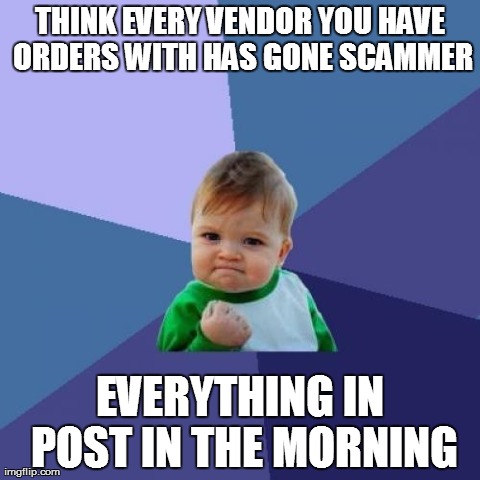 Success Kid Meme | THINK EVERY VENDOR YOU HAVE ORDERS WITH HAS GONE SCAMMER EVERYTHING IN POST IN THE MORNING | image tagged in memes,success kid | made w/ Imgflip meme maker