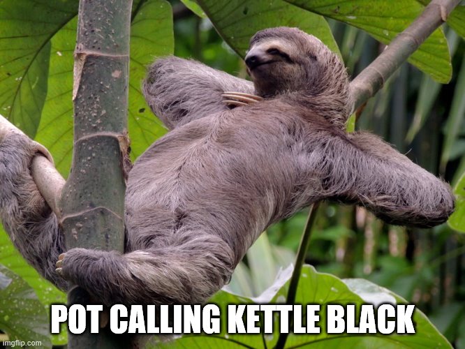 Lazy Sloth | POT CALLING KETTLE BLACK | image tagged in lazy sloth | made w/ Imgflip meme maker