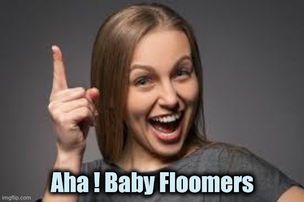 eureka face | Aha ! Baby Floomers | image tagged in eureka face | made w/ Imgflip meme maker