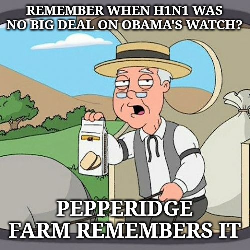 And it wasn't an election year, either. | REMEMBER WHEN H1N1 WAS NO BIG DEAL ON OBAMA'S WATCH? PEPPERIDGE FARM REMEMBERS IT | image tagged in memes,pepperidge farm remembers | made w/ Imgflip meme maker