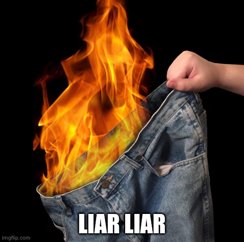 Pants on Fire | LIAR LIAR | image tagged in pants on fire | made w/ Imgflip meme maker