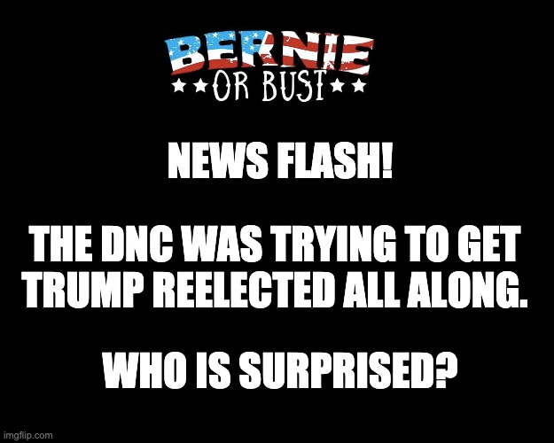 Surprise! | NEWS FLASH! THE DNC WAS TRYING TO GET
TRUMP REELECTED ALL ALONG. WHO IS SURPRISED? | image tagged in donald trump | made w/ Imgflip meme maker