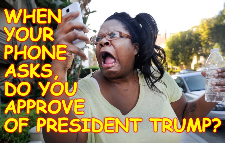 And there's only a YES button. | WHEN
YOUR
PHONE
ASKS,
DO YOU
APPROVE
OF PRESIDENT TRUMP? | image tagged in memes,nooo,trump poll | made w/ Imgflip meme maker