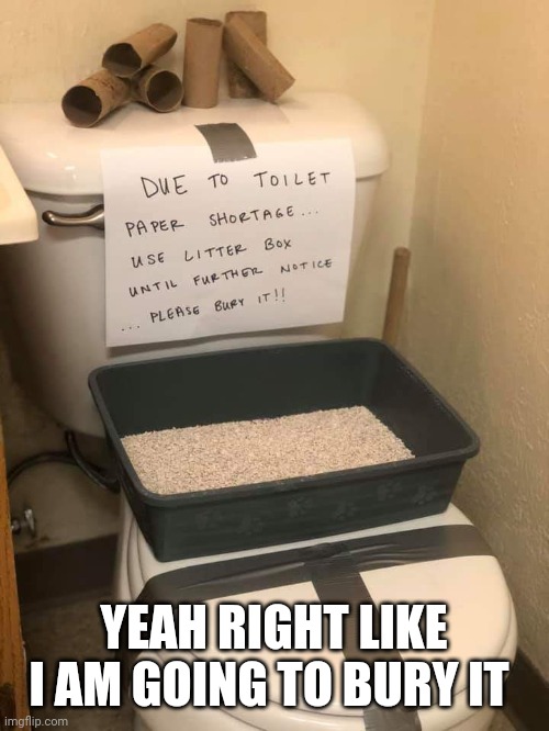 Really gotta go | YEAH RIGHT LIKE I AM GOING TO BURY IT | image tagged in bathroom humor | made w/ Imgflip meme maker