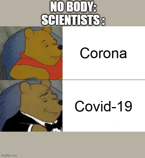 Tuxedo Winnie The Pooh Meme | NO BODY:
SCIENTISTS :; Corona; Covid-19 | image tagged in memes,tuxedo winnie the pooh | made w/ Imgflip meme maker