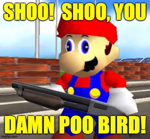 SMG4 Shotgun Mario | SHOO!  SHOO, YOU DAMN POO BIRD! | image tagged in smg4 shotgun mario | made w/ Imgflip meme maker