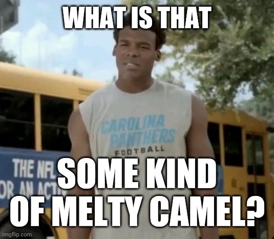 Confused Cam | WHAT IS THAT SOME KIND OF MELTY CAMEL? | image tagged in confused cam | made w/ Imgflip meme maker