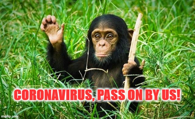 goodbye | CORONAVIRUS, PASS ON BY US! | image tagged in goodbye | made w/ Imgflip meme maker