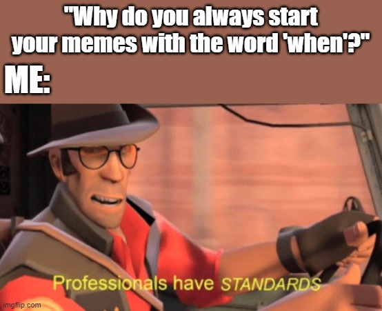 Professionals have standards | "Why do you always start your memes with the word 'when'?"; ME: | image tagged in professionals have standards | made w/ Imgflip meme maker