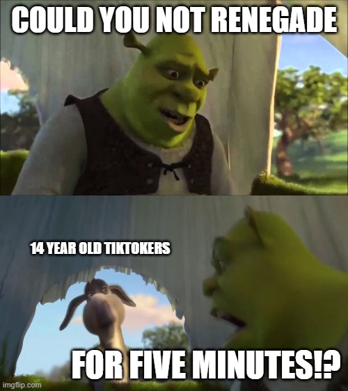 shrek five minutes | COULD YOU NOT RENEGADE; 14 YEAR OLD TIKTOKERS; FOR FIVE MINUTES!? | image tagged in shrek five minutes | made w/ Imgflip meme maker