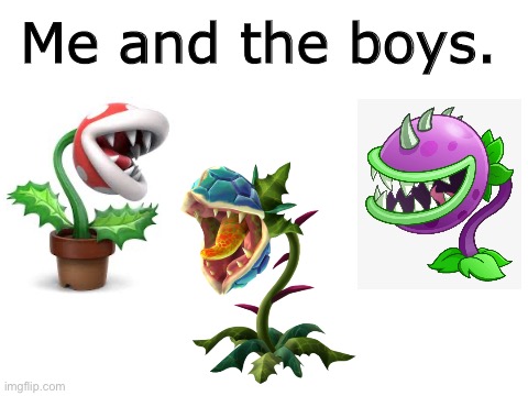 Spot the difference | Me and the boys. | image tagged in video games | made w/ Imgflip meme maker