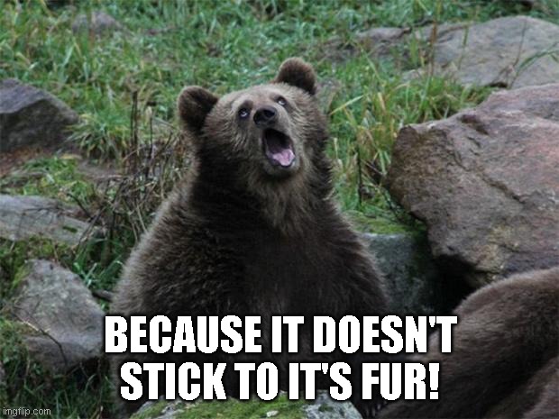 Sarcastic Bear | BECAUSE IT DOESN'T STICK TO IT'S FUR! | image tagged in sarcastic bear | made w/ Imgflip meme maker