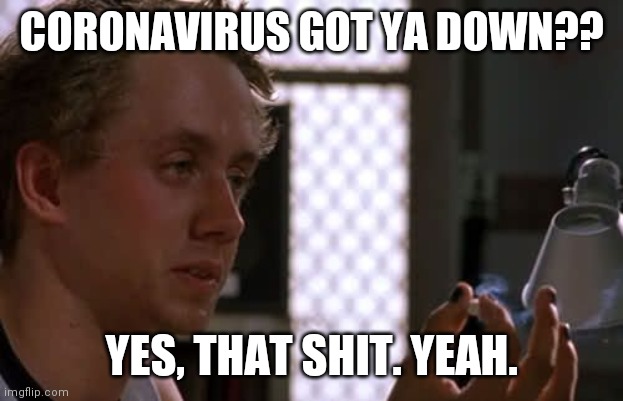 Fast and Furious Jesse | CORONAVIRUS GOT YA DOWN?? YES, THAT SHIT. YEAH. | image tagged in fast and furious jesse | made w/ Imgflip meme maker