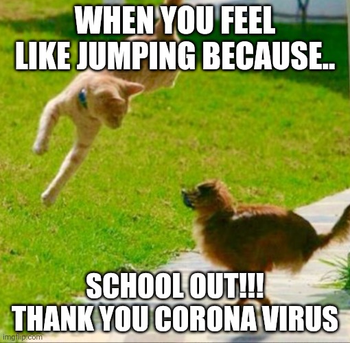 So true | WHEN YOU FEEL LIKE JUMPING BECAUSE.. SCHOOL OUT!!! THANK YOU CORONA VIRUS | image tagged in funny memes | made w/ Imgflip meme maker