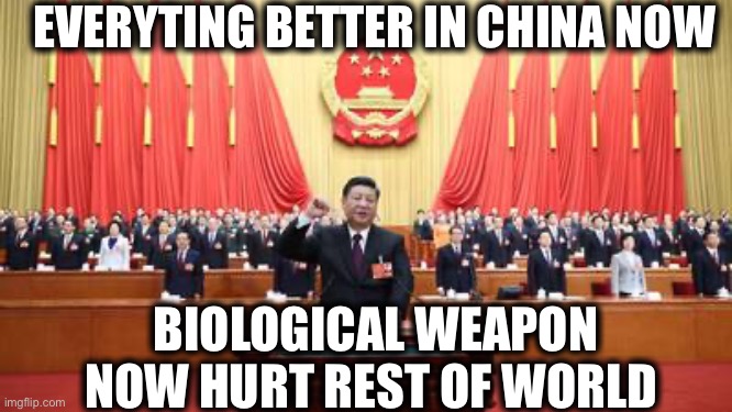 Coronavirus | EVERYTING BETTER IN CHINA NOW; BIOLOGICAL WEAPON NOW HURT REST OF WORLD | image tagged in coronavirus,china,made in china | made w/ Imgflip meme maker