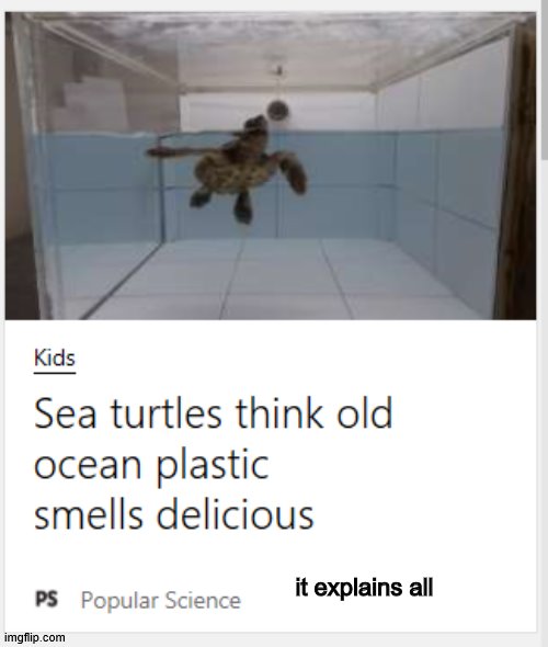 ? ok... | it explains all | image tagged in save the earth,turtle,funny | made w/ Imgflip meme maker