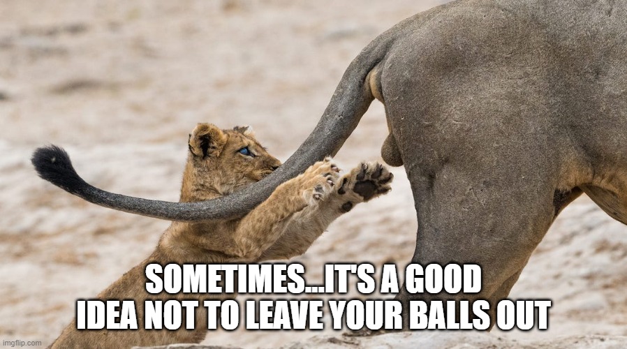 Hanging Loose | SOMETIMES...IT'S A GOOD IDEA NOT TO LEAVE YOUR BALLS OUT | image tagged in funny picture | made w/ Imgflip meme maker