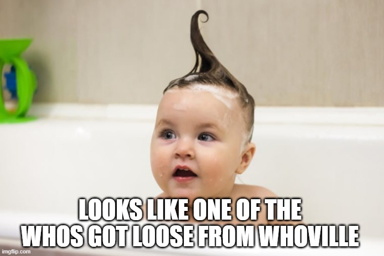 Anyone Got Any Hash? | LOOKS LIKE ONE OF THE WHOS GOT LOOSE FROM WHOVILLE | image tagged in funny picture | made w/ Imgflip meme maker