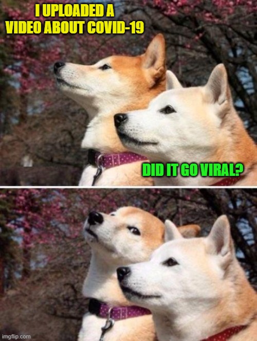 Sick puppies |  I UPLOADED A VIDEO ABOUT COVID-19; DID IT GO VIRAL? | image tagged in shiba bad joke,covid-19 | made w/ Imgflip meme maker