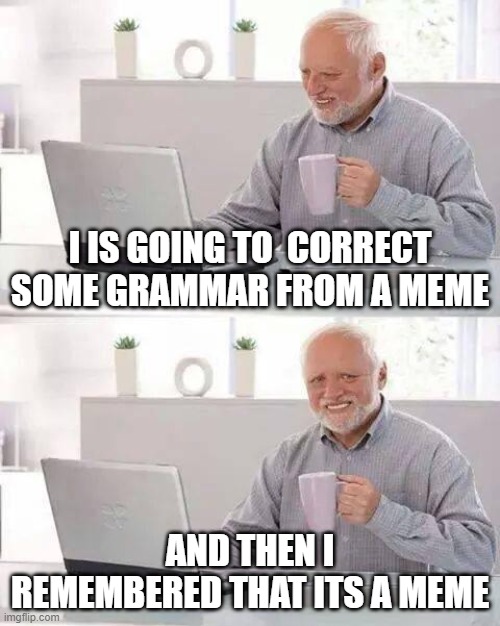 Hide the Pain Harold | I IS GOING TO  CORRECT SOME GRAMMAR FROM A MEME; AND THEN I REMEMBERED THAT ITS A MEME | image tagged in memes,hide the pain harold | made w/ Imgflip meme maker