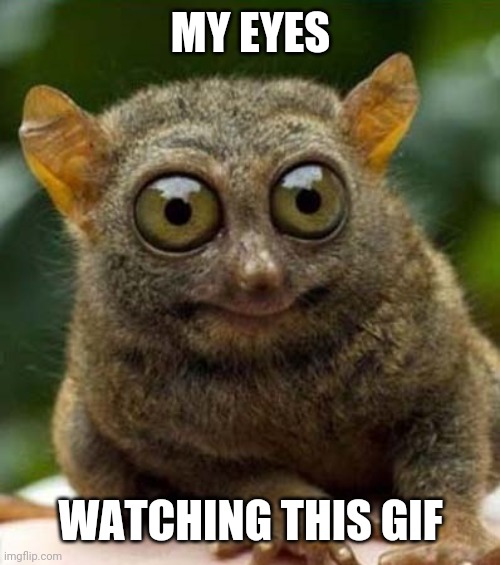 big eyes smiling critter | MY EYES WATCHING THIS GIF | image tagged in big eyes smiling critter | made w/ Imgflip meme maker