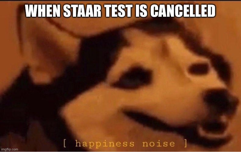 happines noise | WHEN STAAR TEST IS CANCELLED | image tagged in happines noise | made w/ Imgflip meme maker