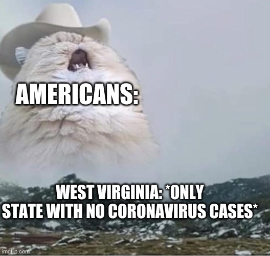 ONLY STATE WITH NO CORONAVIRUS CASES* image tagged in country roads cat,joh...
