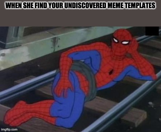 Sexy Railroad Spiderman | WHEN SHE FIND YOUR UNDISCOVERED MEME TEMPLATES | image tagged in memes,sexy railroad spiderman,spiderman | made w/ Imgflip meme maker