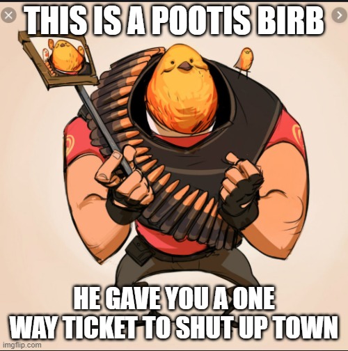THIS IS A POOTIS BIRB; HE GAVE YOU A ONE WAY TICKET TO SHUT UP TOWN | image tagged in pootisbirb,shutup | made w/ Imgflip meme maker