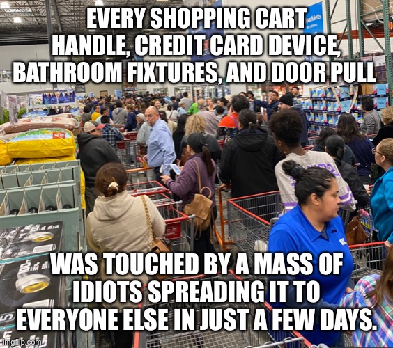 Coronavirus madness | EVERY SHOPPING CART HANDLE, CREDIT CARD DEVICE, BATHROOM FIXTURES, AND DOOR PULL; WAS TOUCHED BY A MASS OF IDIOTS SPREADING IT TO EVERYONE ELSE IN JUST A FEW DAYS. | image tagged in coronavirus | made w/ Imgflip meme maker