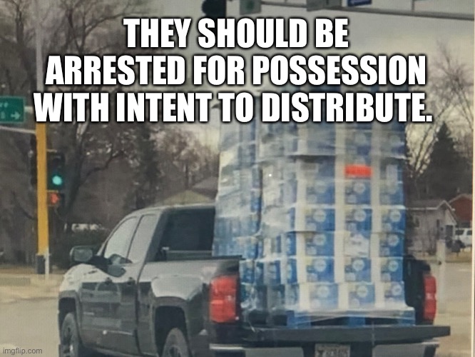 Toilet paper hoarder | THEY SHOULD BE ARRESTED FOR POSSESSION WITH INTENT TO DISTRIBUTE. | image tagged in toilet paper,2020,coronavirus,covid-19,memes | made w/ Imgflip meme maker