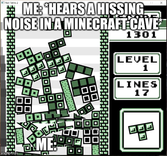 Tetris Chaos | ME: *HEARS A HISSING NOISE IN A MINECRAFT CAVE*; ME: | image tagged in chaos tetris | made w/ Imgflip meme maker