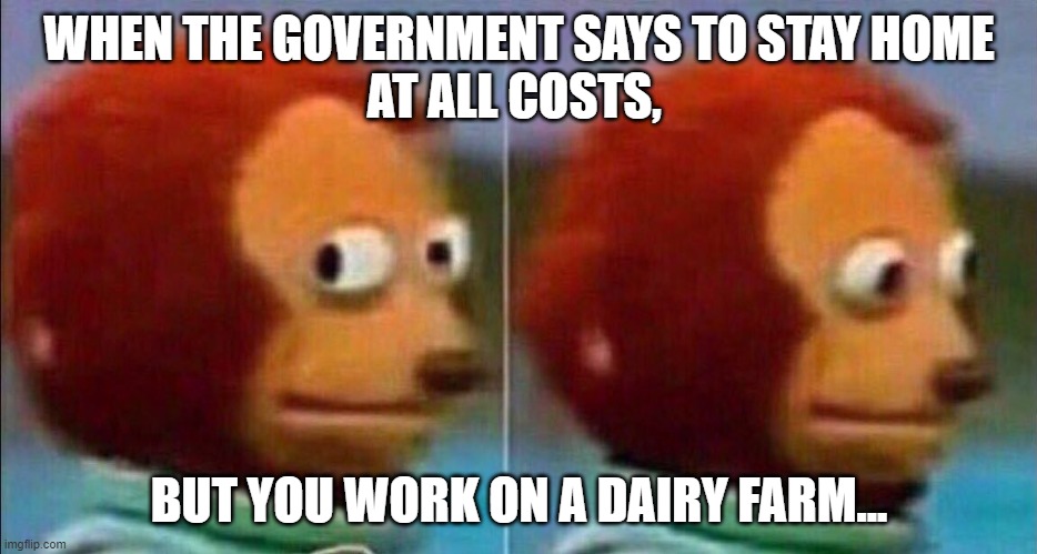 Monkey looking away | WHEN THE GOVERNMENT SAYS TO STAY HOME
AT ALL COSTS, BUT YOU WORK ON A DAIRY FARM... | image tagged in monkey looking away | made w/ Imgflip meme maker