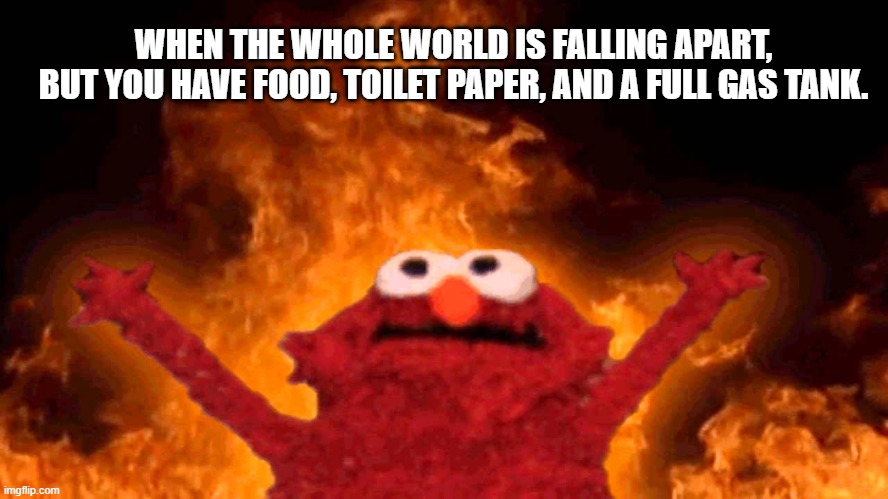 elmo fire | WHEN THE WHOLE WORLD IS FALLING APART,
BUT YOU HAVE FOOD, TOILET PAPER, AND A FULL GAS TANK. | image tagged in elmo fire | made w/ Imgflip meme maker