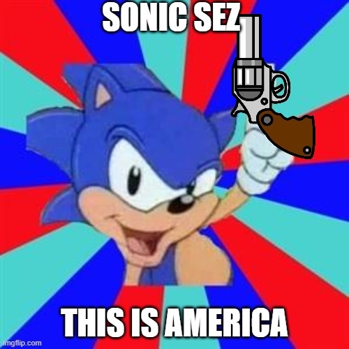 Sonic sez | SONIC SEZ; THIS IS AMERICA | image tagged in sonic sez | made w/ Imgflip meme maker