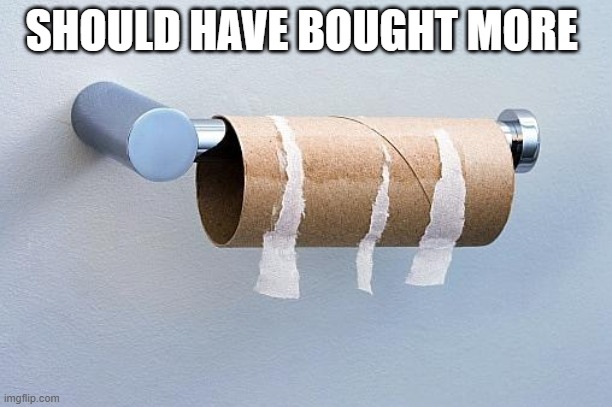 No More Toilet Paper | SHOULD HAVE BOUGHT MORE | image tagged in no more toilet paper | made w/ Imgflip meme maker