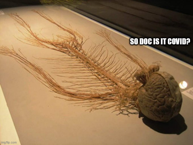 covid | SO DOC IS IT COVID? | image tagged in covid | made w/ Imgflip meme maker