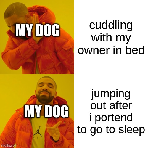 Drake Hotline Bling Meme | MY DOG; cuddling with my owner in bed; jumping out after i portend to go to sleep; MY DOG | image tagged in memes,drake hotline bling | made w/ Imgflip meme maker