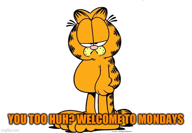 Grumpy Garfield | YOU TOO HUH? WELCOME TO MONDAYS | image tagged in grumpy garfield | made w/ Imgflip meme maker