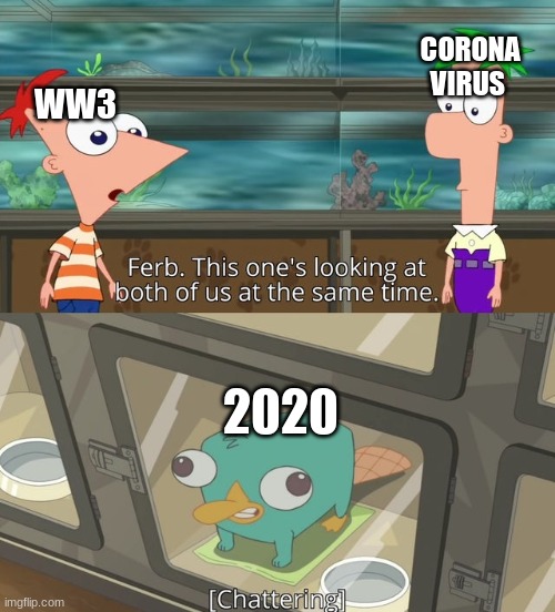 perry the platypus | CORONA VIRUS; WW3; 2020 | image tagged in perry the platypus | made w/ Imgflip meme maker