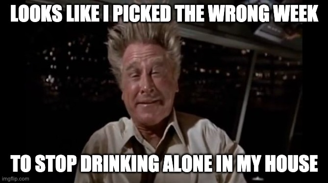 airplane wrong week | LOOKS LIKE I PICKED THE WRONG WEEK; TO STOP DRINKING ALONE IN MY HOUSE | image tagged in airplane wrong week | made w/ Imgflip meme maker