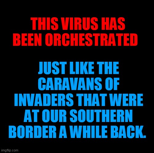 THIS VIRUS HAS BEEN ORCHESTRATED; JUST LIKE THE CARAVANS OF INVADERS THAT WERE AT OUR SOUTHERN BORDER A WHILE BACK. | made w/ Imgflip meme maker