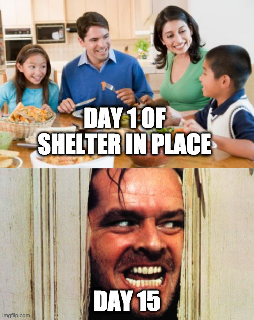 DAY 1 OF SHELTER IN PLACE; DAY 15 | image tagged in coronavirus | made w/ Imgflip meme maker