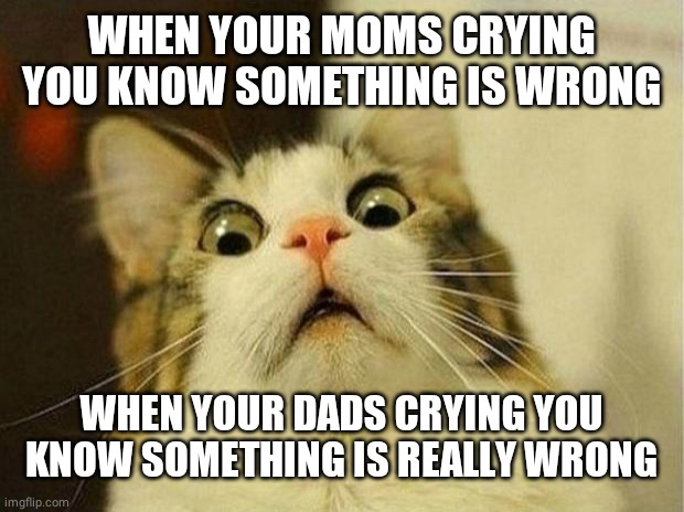 Scared Cat Meme | WHEN YOUR MOMS CRYING YOU KNOW SOMETHING IS WRONG; WHEN YOUR DADS CRYING YOU KNOW SOMETHING IS REALLY WRONG | image tagged in memes,scared cat | made w/ Imgflip meme maker