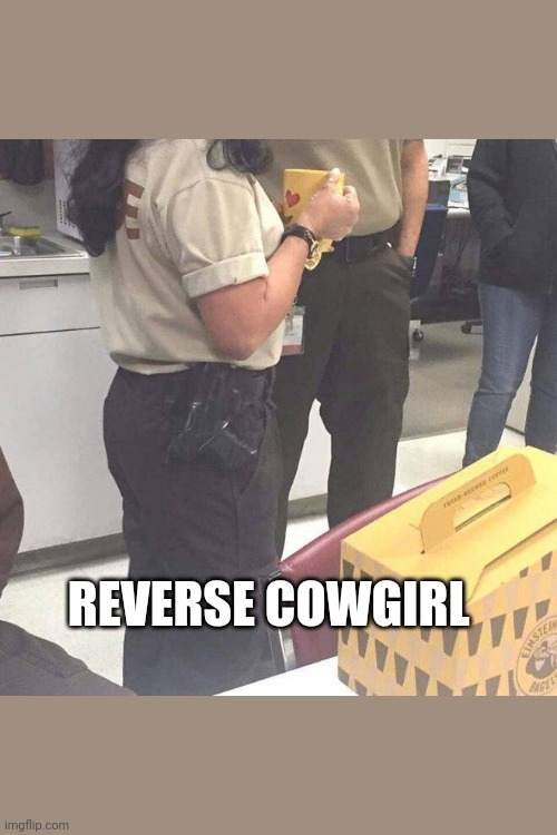 Reverse Cowgirl Imgflip