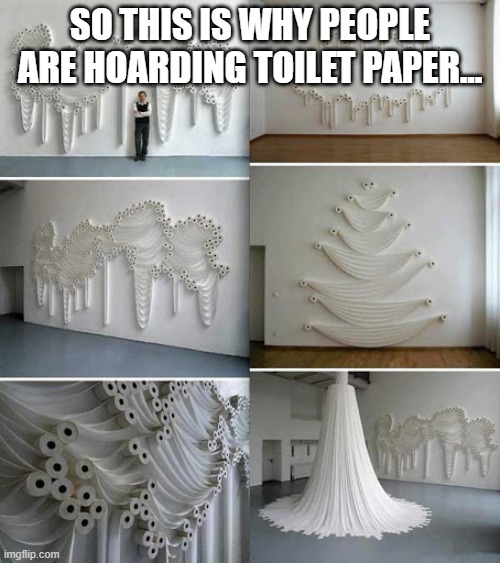 SO THIS IS WHY PEOPLE ARE HOARDING TOILET PAPER... | image tagged in toilet paper,art | made w/ Imgflip meme maker