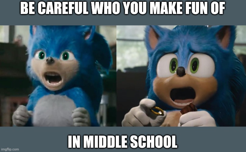 Sonic Old New | BE CAREFUL WHO YOU MAKE FUN OF; IN MIDDLE SCHOOL | image tagged in sonic old new | made w/ Imgflip meme maker