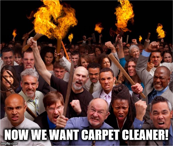 Angry mob | NOW WE WANT CARPET CLEANER! | image tagged in angry mob | made w/ Imgflip meme maker