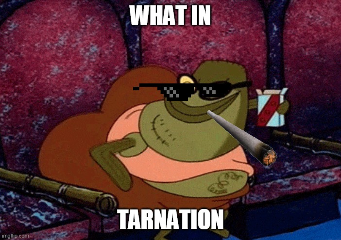 WHAT IN; TARNATION | image tagged in imgflip | made w/ Imgflip meme maker