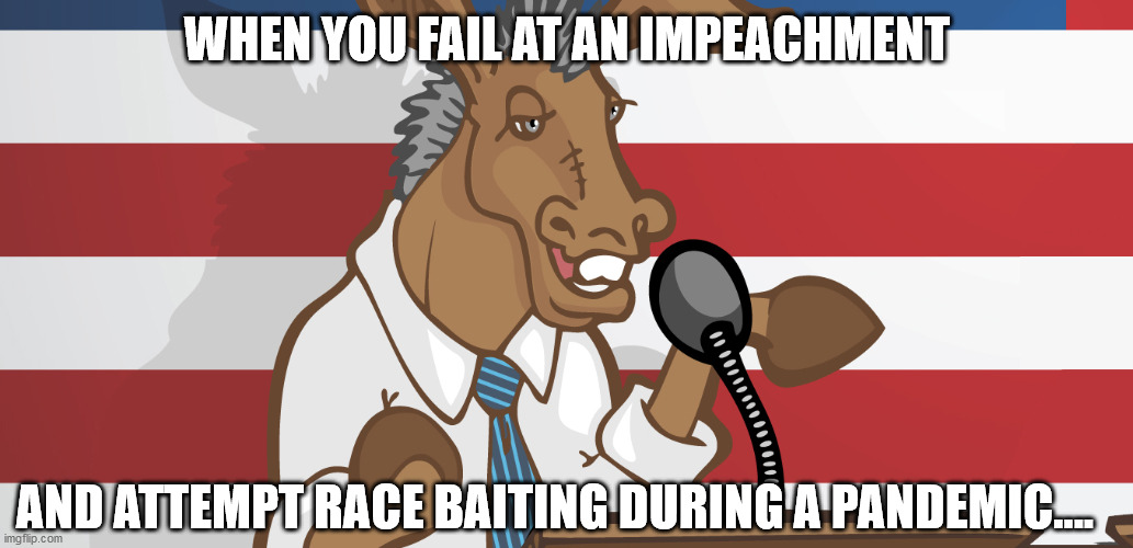 dnc | WHEN YOU FAIL AT AN IMPEACHMENT; AND ATTEMPT RACE BAITING DURING A PANDEMIC.... | image tagged in dnc | made w/ Imgflip meme maker